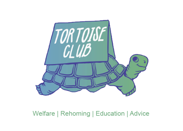 Norfolk Tortoise Club