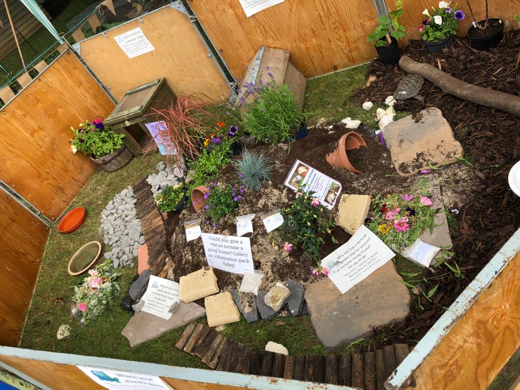 Tortoise Enclosure Example